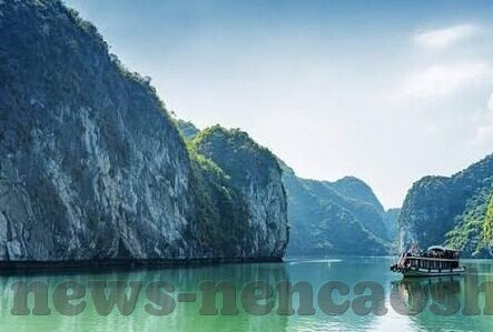 麻豆蜜桃传媒-麻豆蜜桃传媒——影视艺术的新风景